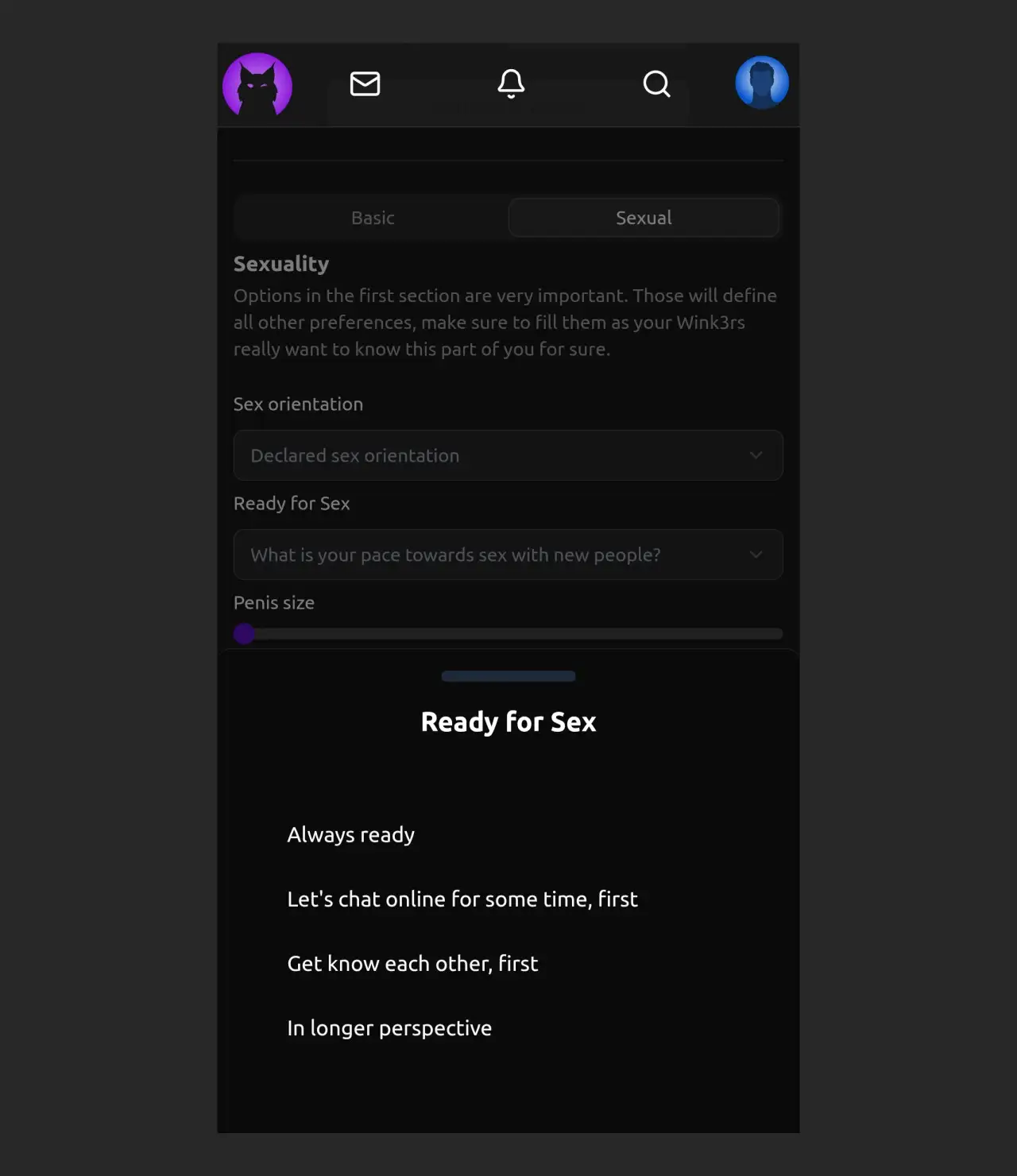 Screenshot of sexual preferences in the Wink3r profile, showing the screen for selecting readiness for sex