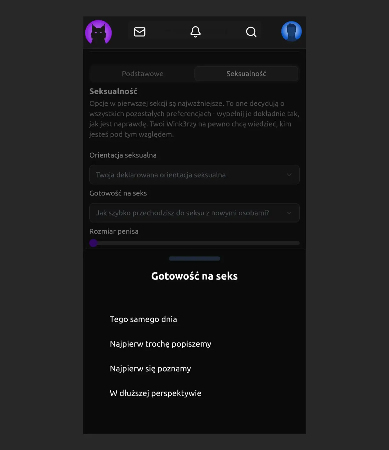 Screenshot z preferencji seksualnych profilu w Wink3r, pokazujący ekran wyboru gotowości na seks